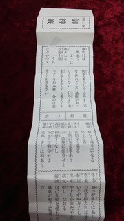 DSC_0210-53e0b.JPG