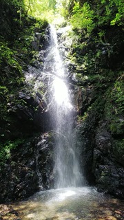 DSC_0223.JPG